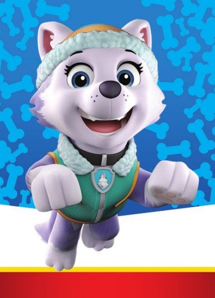 Paw Patrol Trading Cards - Limited Edition Card 5 Everest