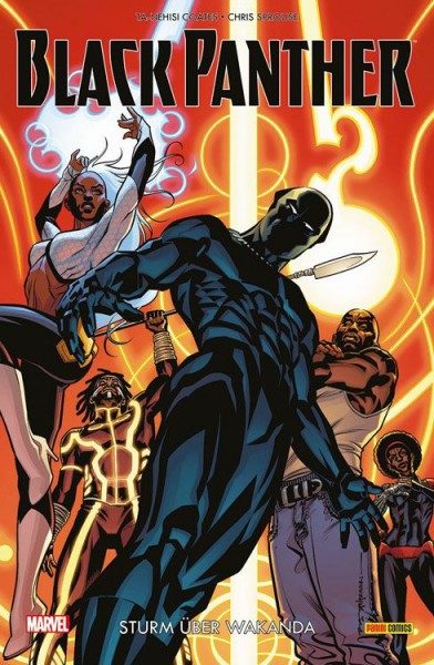 Black Panther 2 - Sturm über Wakanda Cover