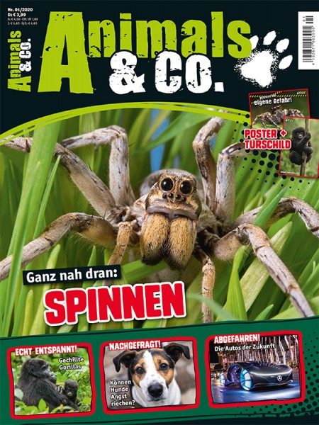 Animals und Co Ausgabe 1 2020 - Alles rund um krabbelige Spinnen