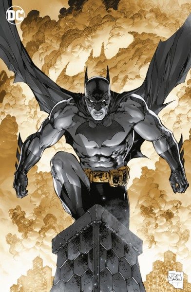 Batman 30 Variant Cover