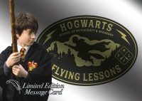 Harry Potter Ein Jahr in Hogwarts - Sticker  & Cards  -  LE Card 5 - Harry Potter