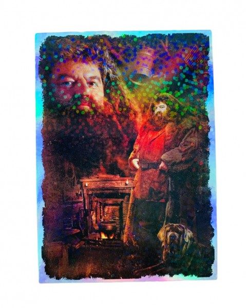 Harry Potter Anthology - Stickerkollektion - Limited Edition Card 3