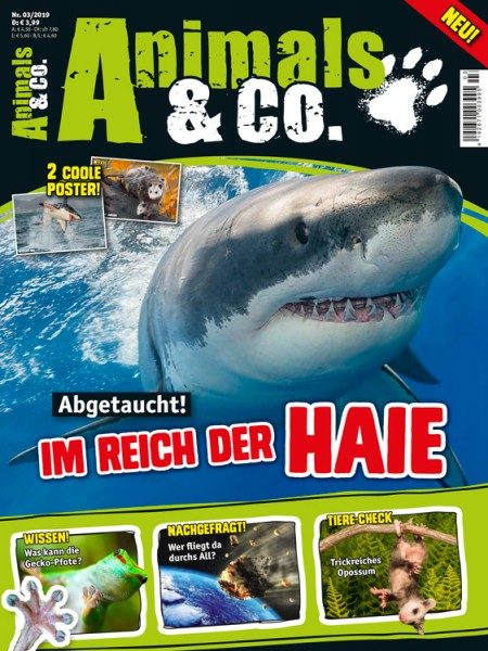 Animals & Co. Magazin 03/19 Cover