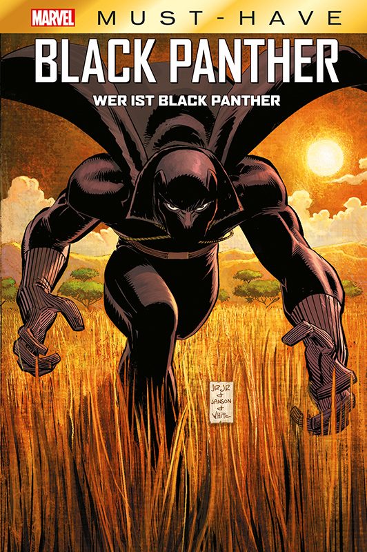 Wer Streamt Black Panther