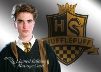 Harry Potter Ein Jahr in Hogwarts - Sticker  & Cards -  LE Card 2 - Cedric