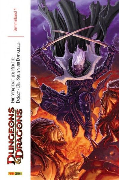 Dungeons & Dragons - Die Saga vom Dunkelelf Megaband 1
