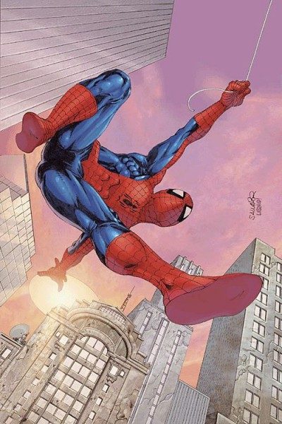 Der spektakuläre Spider-Man 19