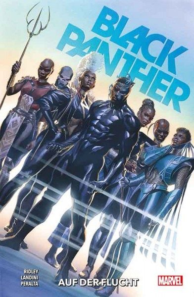 Black Panther 2 - Auf der Flucht