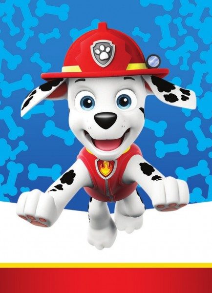 Paw Patrol Trading Cards - Limited Edition Card Marshall