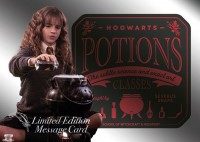 Harry Potter Ein Jahr in Hogwarts - Sticker  & Cards - LE Card 7 - Hermine Granger